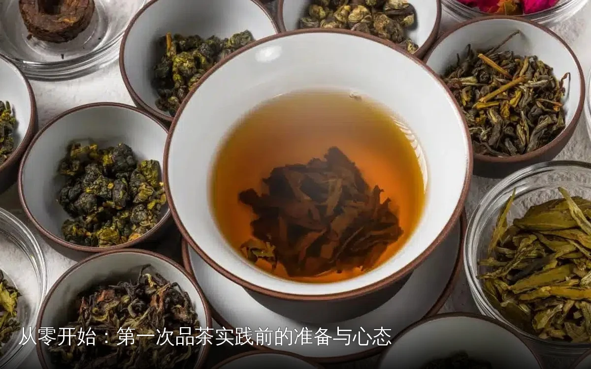 从零开始：第一次品茶实践前的准备与心态